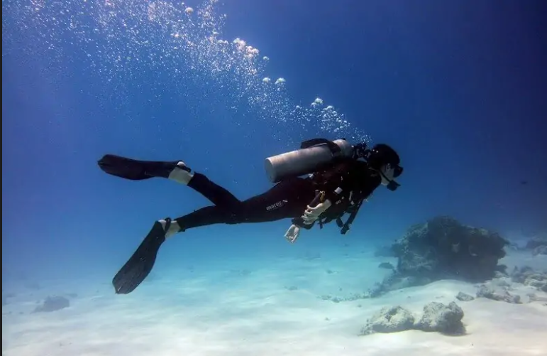 Diving Experience in Zanzibar